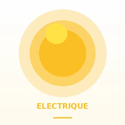 Electrique
