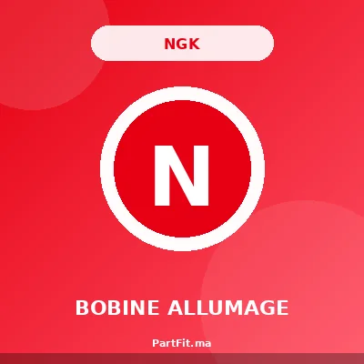 NGK 48323