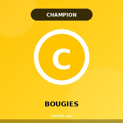 Champion RC8WYPB4