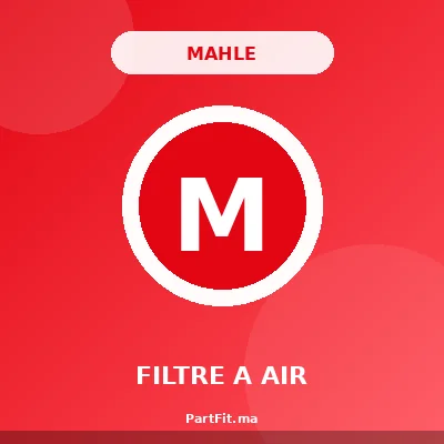 Mahle LX3804