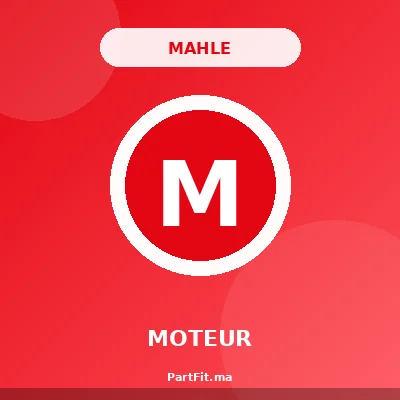 MAHLE 039-CA-10002-000