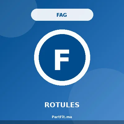 FAG 825-0222-10