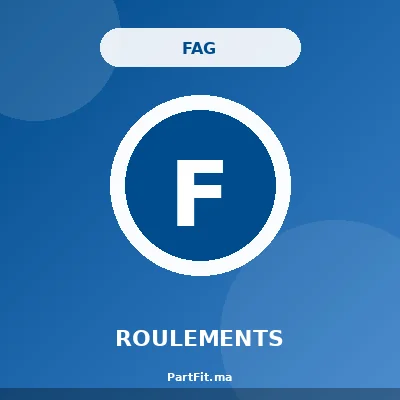 FAG 713610370