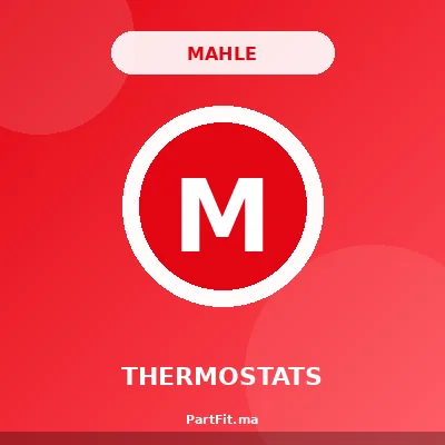 Mahle TX3283D