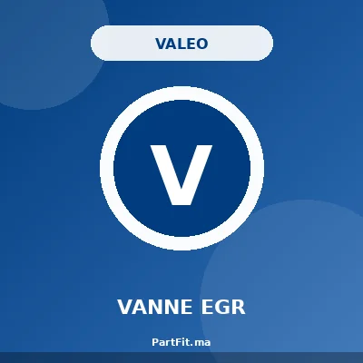 Valeo 700440
